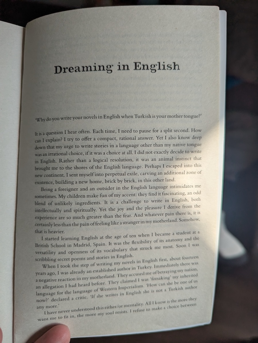 Dreaming in English
