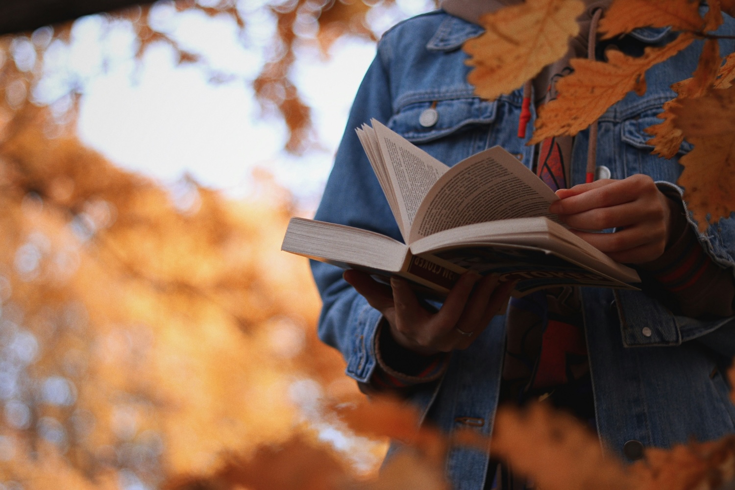5 Great Books to Read in September 2026